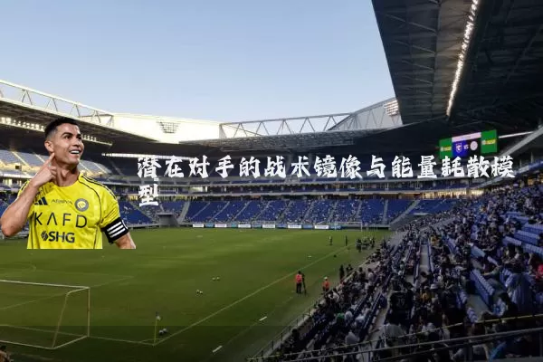 潜在对手的战术镜像与能量耗散模型
